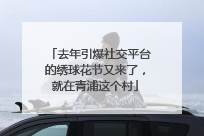去年引爆社交平台的绣球花节又来了，就在青浦这个村