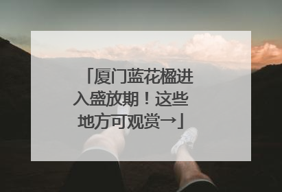 厦门蓝花楹进入盛放期！这些地方可观赏→