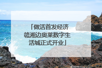 做活首发经济 赣湘边奥莱数字生活城正式开业
