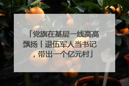 党旗在基层一线高高飘扬丨退伍军人当书记，带出一个亿元村