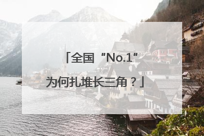 全国“No.1”为何扎堆长三角？