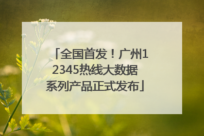 全国首发！广州12345热线大数据系列产品正式发布