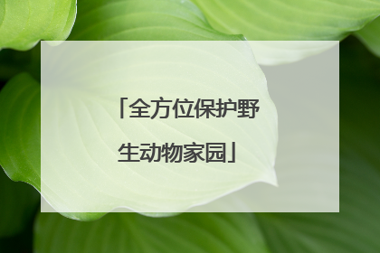 全方位保护野生动物家园