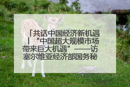 共话中国经济新机遇丨“中国超大规模市场带来巨大机遇”——访塞尔维亚经济部国务秘书尼科利奇