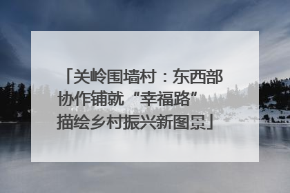 关岭围墙村：东西部协作铺就“幸福路” 描绘乡村振兴新图景