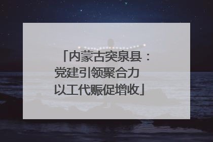 内蒙古突泉县：党建引领聚合力 以工代赈促增收