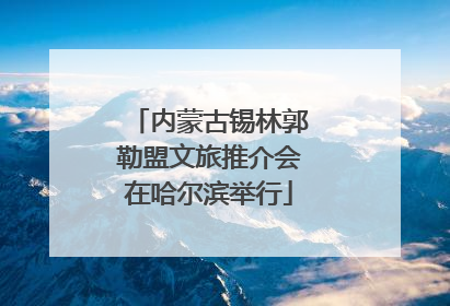 内蒙古锡林郭勒盟文旅推介会在哈尔滨举行