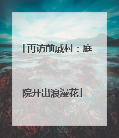 再访前戚村：庭院开出浪漫花