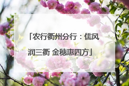 农行衢州分行：儒风润三衢 金穗惠四方