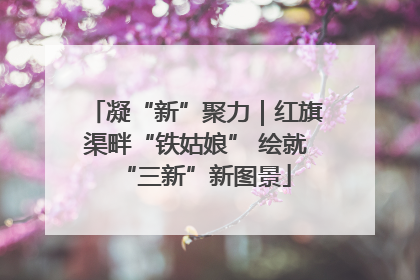 凝“新”聚力｜红旗渠畔“铁姑娘” 绘就“三新”新图景
