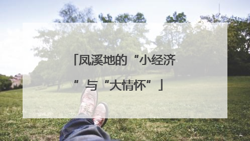凤溪地的“小经济”与“大情怀”
