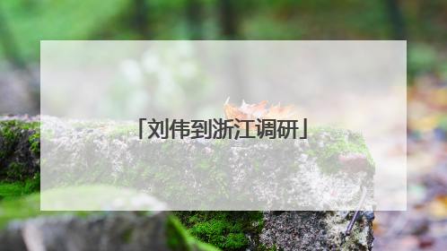 刘伟到浙江调研
