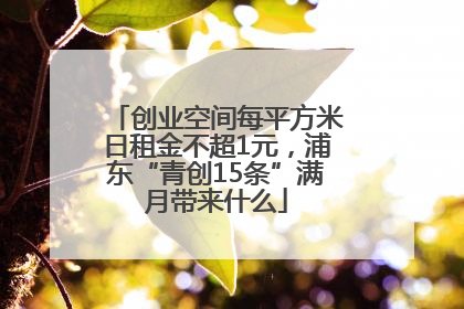 创业空间每平方米日租金不超1元，浦东“青创15条”满月带来什么