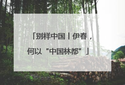 别样中国丨伊春，何以“中国林都”