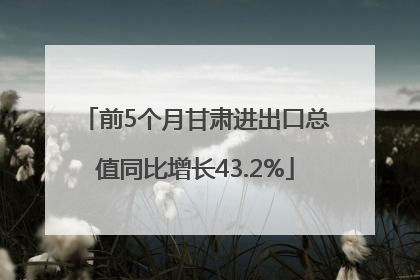 前5个月甘肃进出口总值同比增长43.2%
