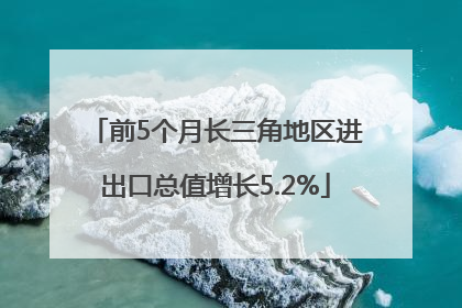 前5个月长三角地区进出口总值增长5.2%