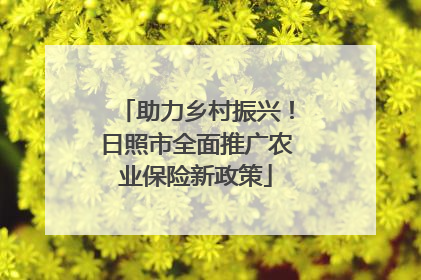 助力乡村振兴！日照市全面推广农业保险新政策