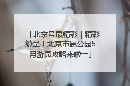 北京号最精彩｜精彩纷呈！北京市属公园5月游园攻略来啦→