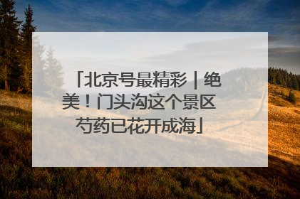 北京号最精彩｜绝美！门头沟这个景区芍药已花开成海