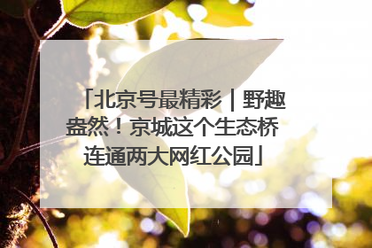 北京号最精彩｜野趣盎然！京城这个生态桥连通两大网红公园