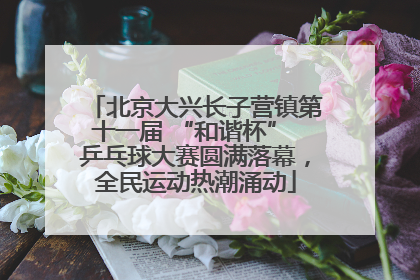北京大兴长子营镇第十一届 “和谐杯” 乒乓球大赛圆满落幕，全民运动热潮涌动
