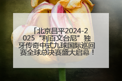 北京昌平2024-2025“利百文台尼”独牙传奇中式九球国际巡回赛全球总决赛盛大启幕！冠军500万