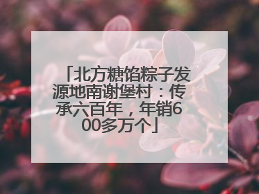 北方糖馅粽子发源地南谢堡村：传承六百年，年销600多万个