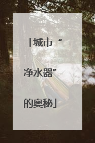 城市“净水器”的奥秘