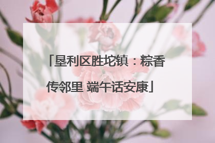 垦利区胜坨镇：粽香传邻里 端午话安康