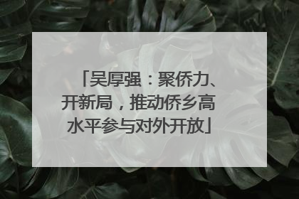 吴厚强：聚侨力、开新局，推动侨乡高水平参与对外开放