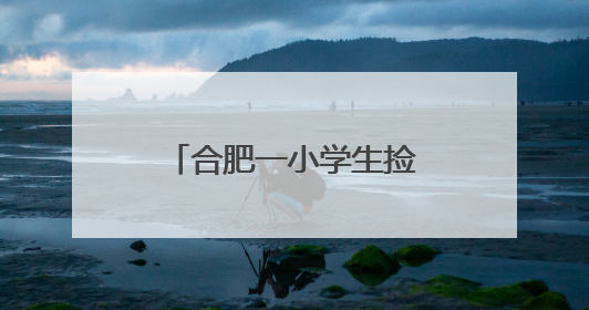 合肥一小学生捡到信鸽 希望找到信鸽的主人