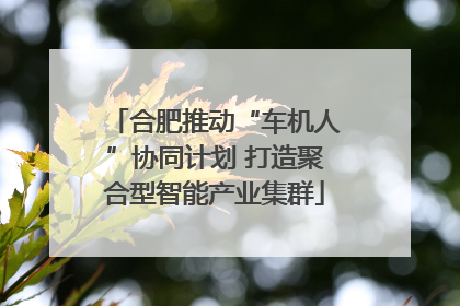 合肥推动“车机人”协同计划 打造聚合型智能产业集群