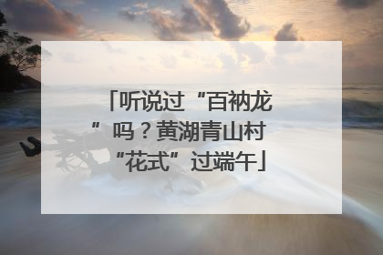 听说过“百衲龙”吗？黄湖青山村“花式”过端午