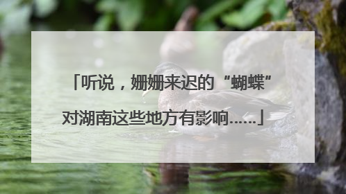听说，姗姗来迟的“蝴蝶”对湖南这些地方有影响……