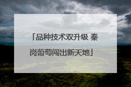 品种技术双升级 秦岗葡萄闯出新天地