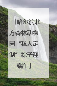 哈尔滨北方森林动物园“私人定制”粽子迎端午