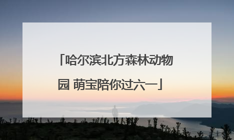 哈尔滨北方森林动物园 萌宝陪你过六一