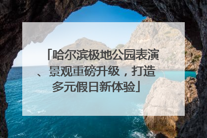 哈尔滨极地公园表演、景观重磅升级，打造多元假日新体验