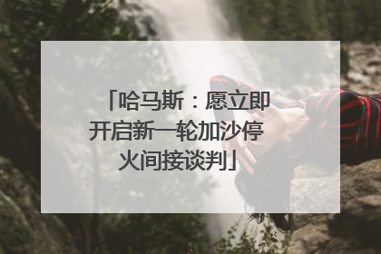 哈马斯：愿立即开启新一轮加沙停火间接谈判