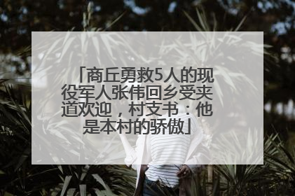 商丘勇救5人的现役军人张伟回乡受夹道欢迎，村支书：他是本村的骄傲