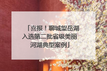 喜报！聊城望岳湖入选第二批省级美丽河湖典型案例