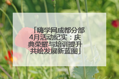 嗨学网成都分部4月活动纪实：庆典荣耀与培训提升共绘发展新蓝图
