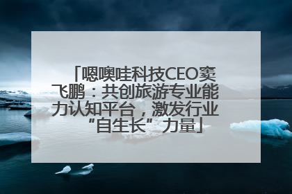 嗯噢哇科技CEO窦飞鹏：共创旅游专业能力认知平台，激发行业“自生长”力量