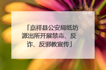 嘉祥县公安局纸坊派出所开展禁毒、反诈、反邪教宣传