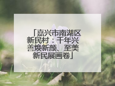 嘉兴市南湖区新民村：千年兴善焕新颜、至美新民展画卷