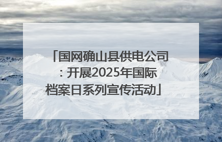 国网确山县供电公司：开展2025年国际档案日系列宣传活动
