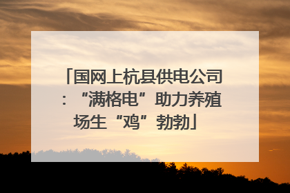 国网上杭县供电公司：“满格电”助力养殖场生“鸡”勃勃