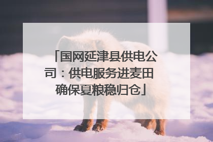 国网延津县供电公司：供电服务进麦田 确保夏粮稳归仓