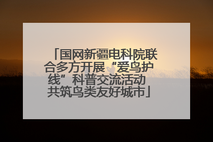 国网新疆电科院联合多方开展“爱鸟护线”科普交流活动 共筑鸟类友好城市