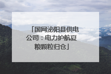 国网泌阳县供电公司：电力护航夏粮颗粒归仓